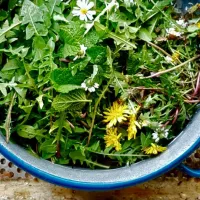 pachamama-farmstay-ukropci-nhocd