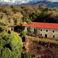 Pachamama Farmstay