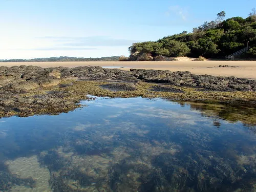 point-leo-foreshore-reserve-campground-point-leo-2dh49