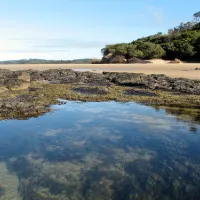 point-leo-foreshore-reserve-campground-point-leo-2dh49
