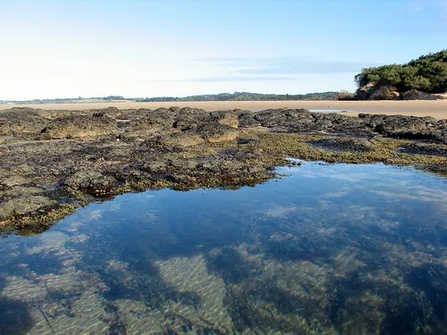 point-leo-foreshore-reserve-campground-point-leo-8lxjp