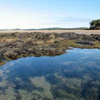 point-leo-foreshore-reserve-campground-point-leo-8lxjp