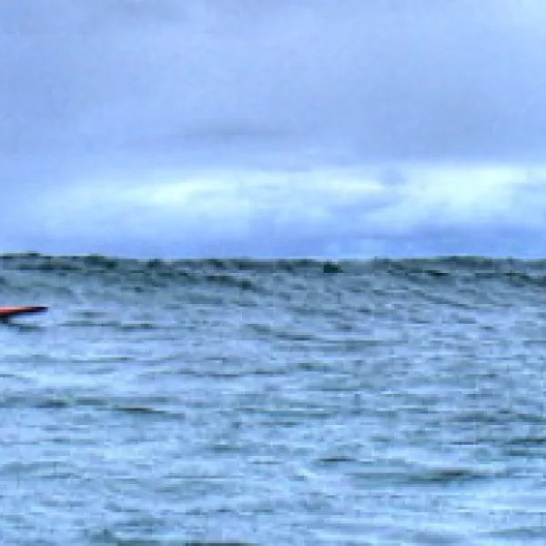 point-leo-foreshore-reserve-campground-point-leo-tnkwq