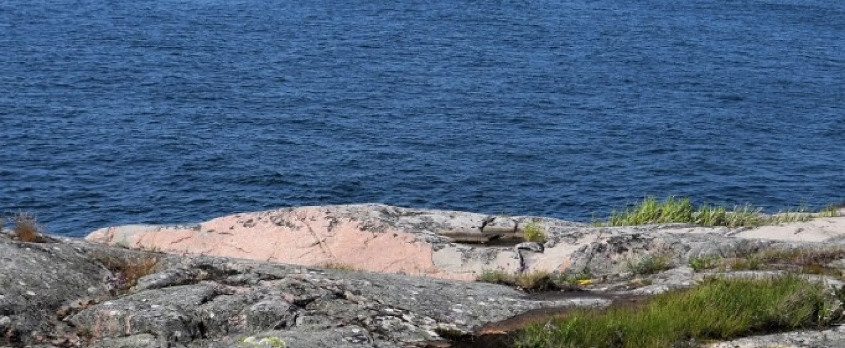 Örö Majoitus
