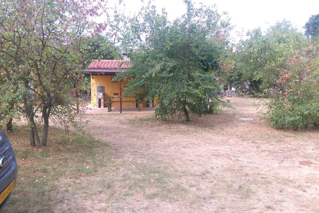 eco-geckos-mini-autokamp-triban-rhqr2