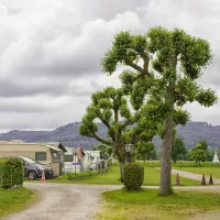 hochrhein-kadelburg-nd0xh