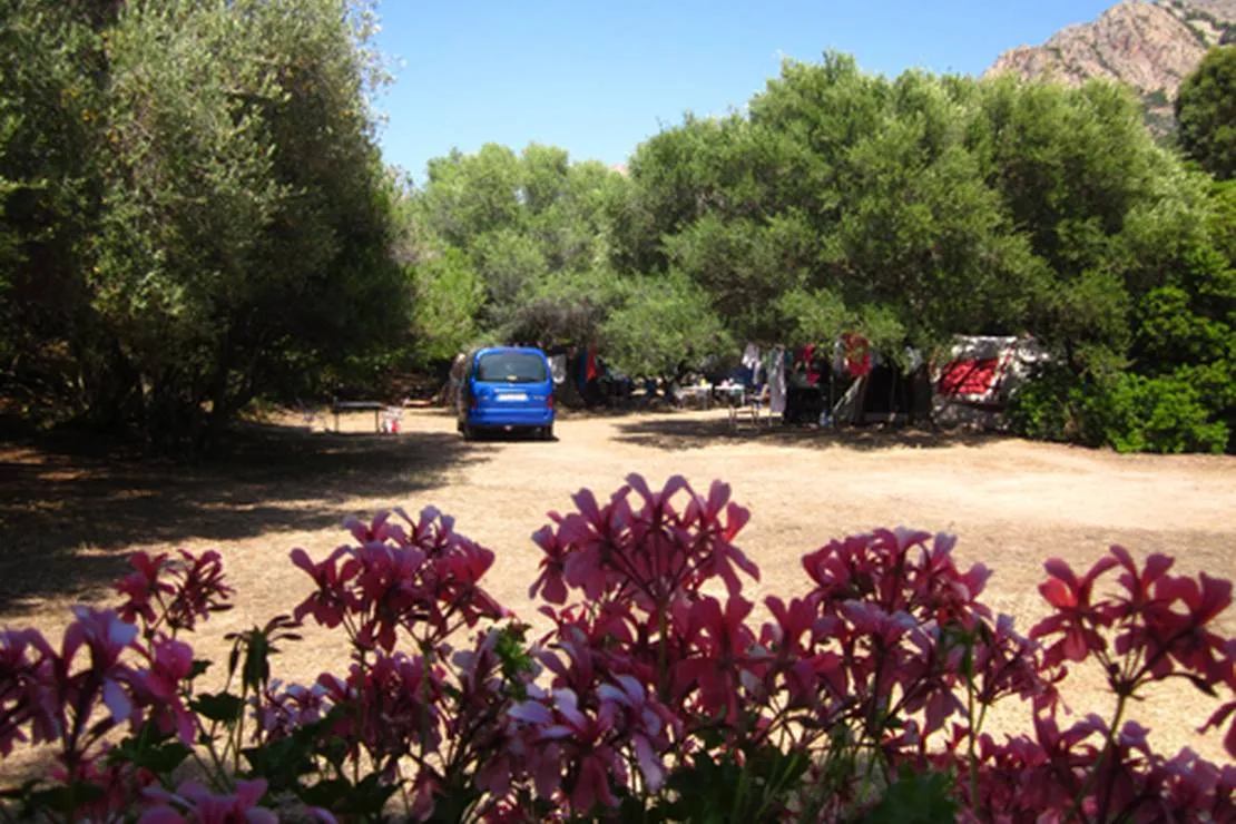 camping-de-la-plage-darone-piana-2gfli