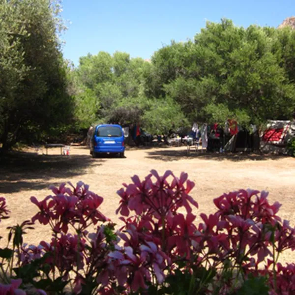 camping-de-la-plage-darone-piana-2gfli