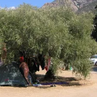 camping-de-la-plage-darone-piana-3rx2j