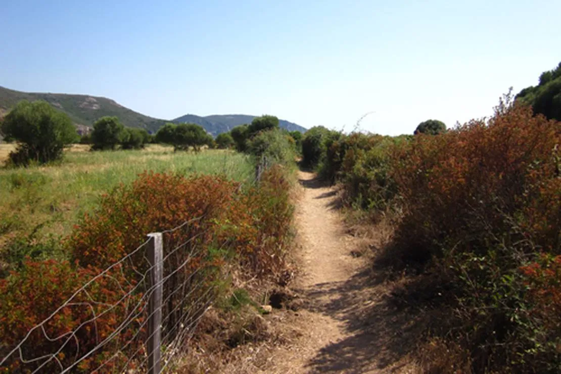camping-de-la-plage-darone-piana-ono7v