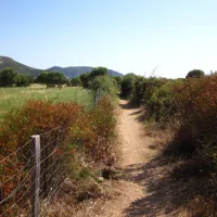 camping-de-la-plage-darone-piana-ono7v