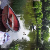 mini-camping-am-mittelhof-hoper-fehmarn-sopqm