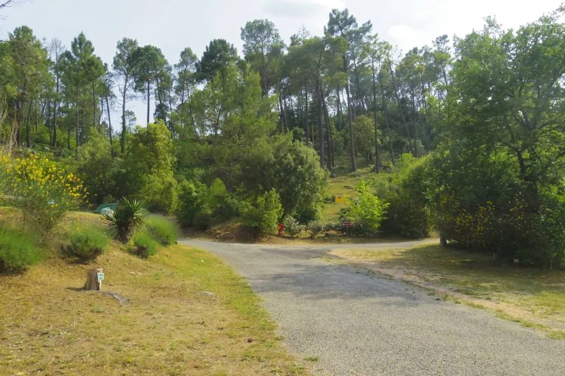 camping-municipal-les-pouverels-cotignac-x0aqc