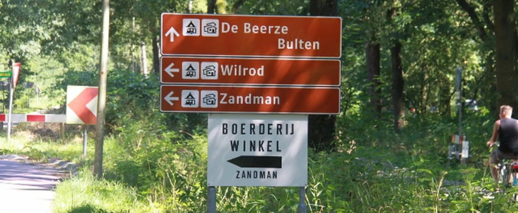 Zandman