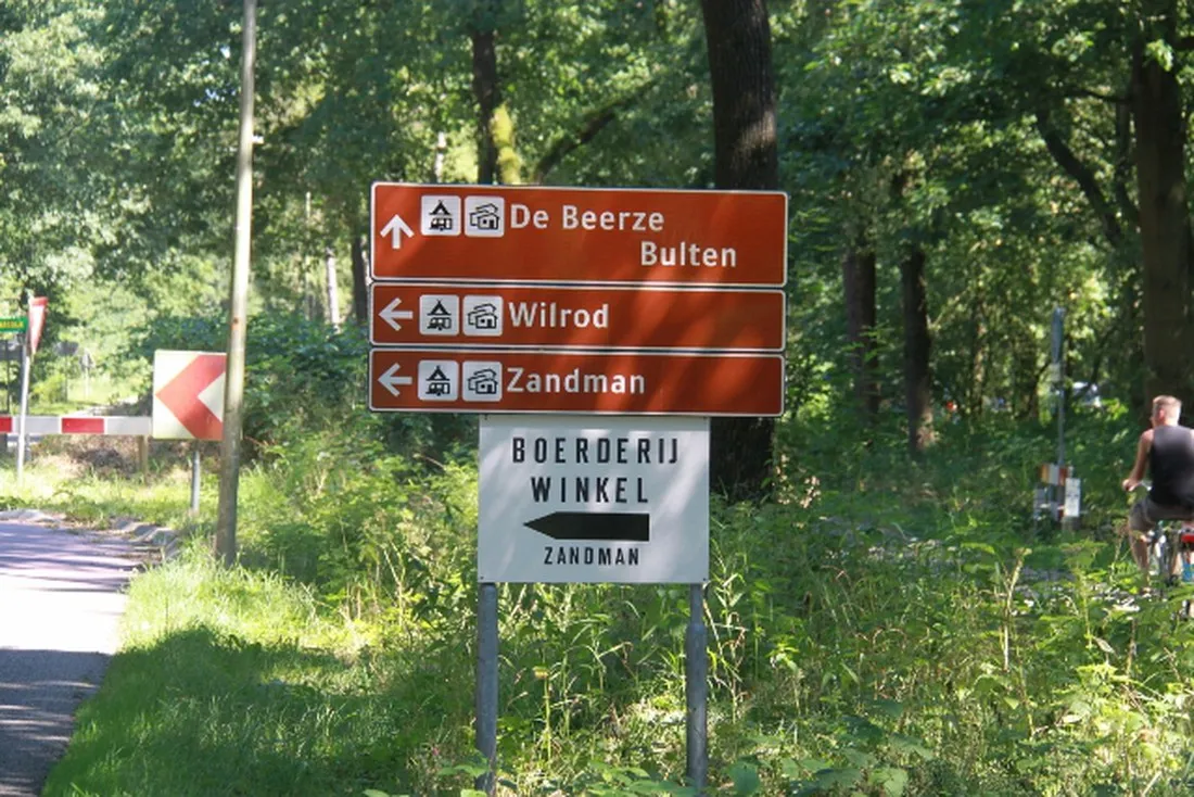 zandman-beerze-glxrr