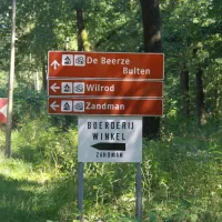 zandman-beerze-glxrr