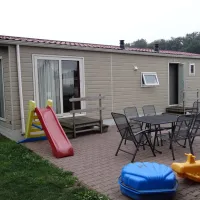 zandman-beerze-sdq1r