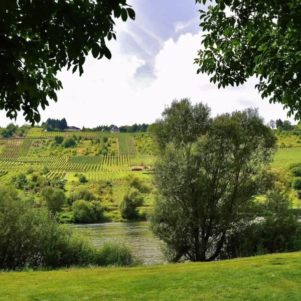 moselland-punderich-wn9ov