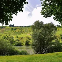 moselland-punderich-wn9ov