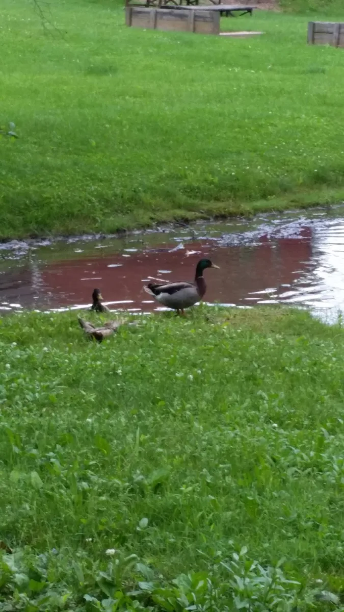 hidden-valley-camping-resort-mifflinburg-affxx