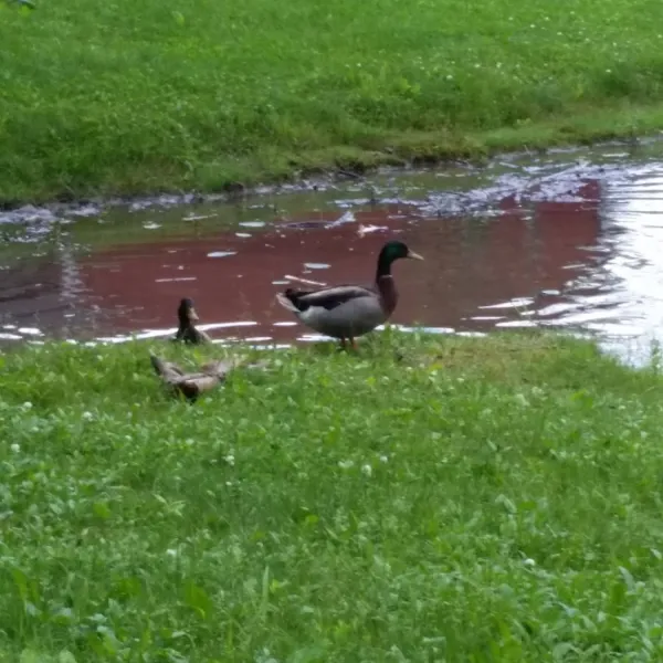 hidden-valley-camping-resort-mifflinburg-affxx