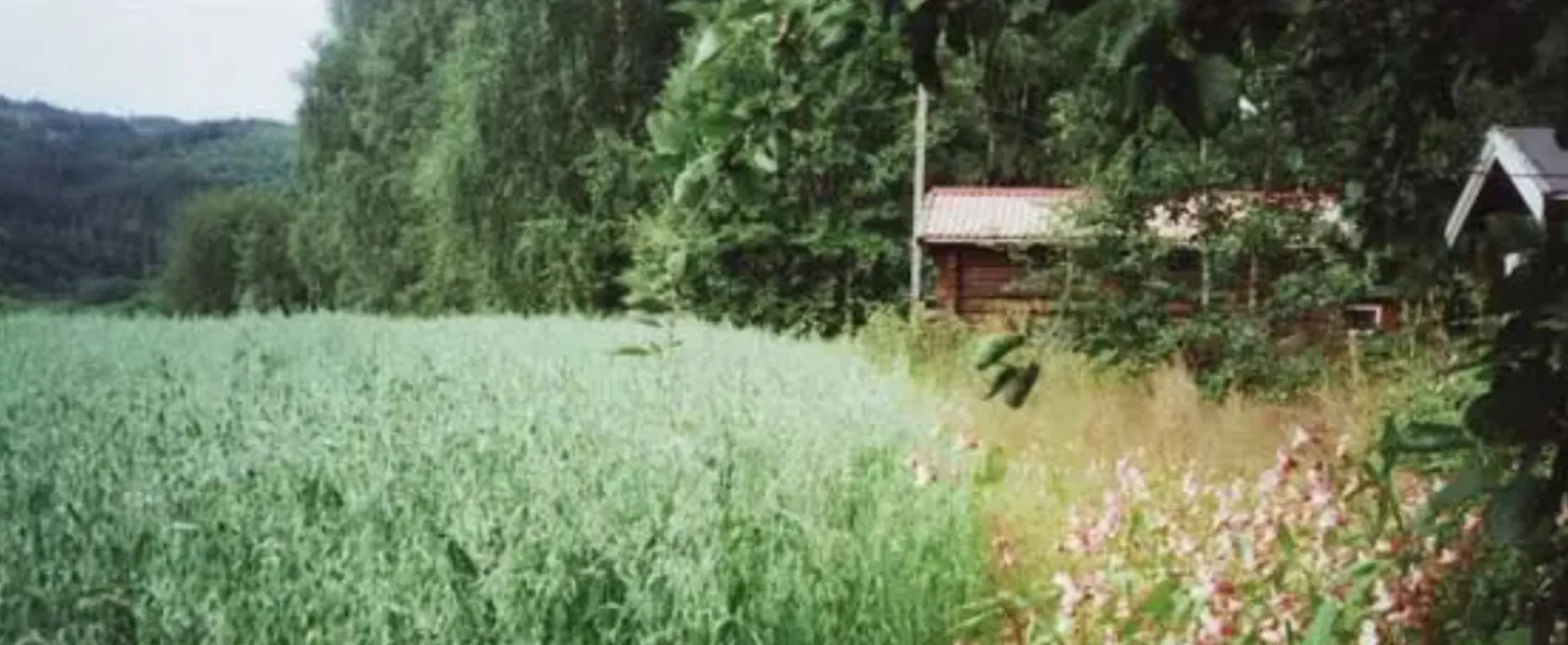 Midtkil Camping