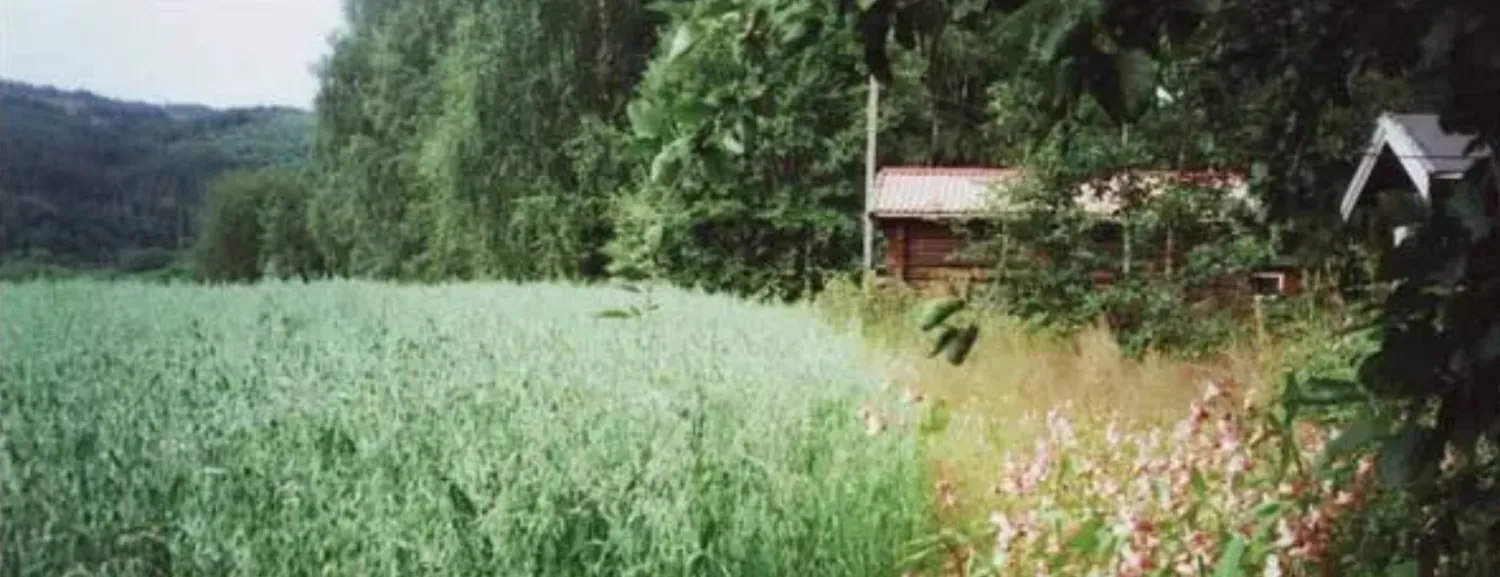 midtkil-camping-hegra-ayihn