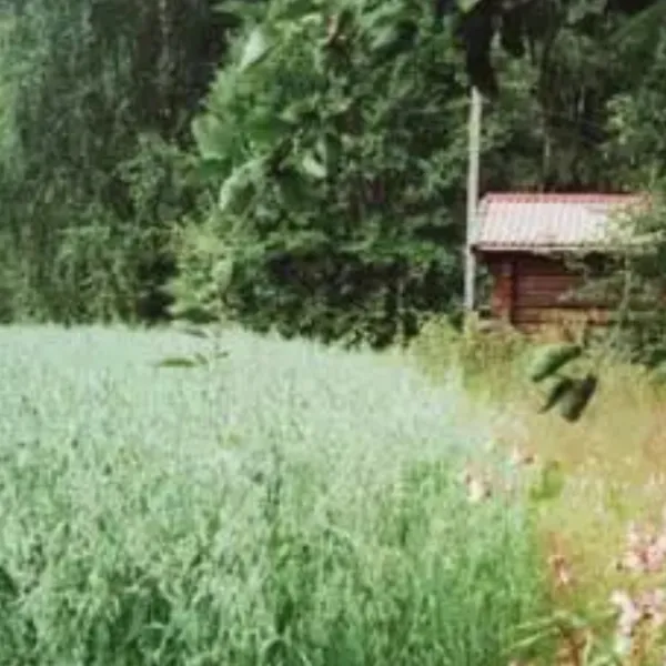 midtkil-camping-hegra-ayihn