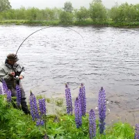 midtkil-camping-hegra-l7ukx