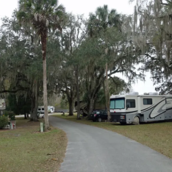 thousand-palms-rv-resort-lake-panasoffkee-rcedh