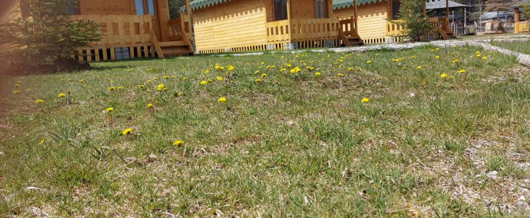 Camping farm Shelegur