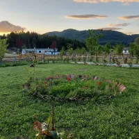 camping-farm-shelegur-leskovik-hids8
