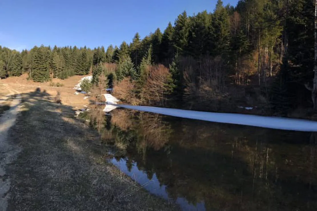 camping-farm-shelegur-leskovik-lwv7x