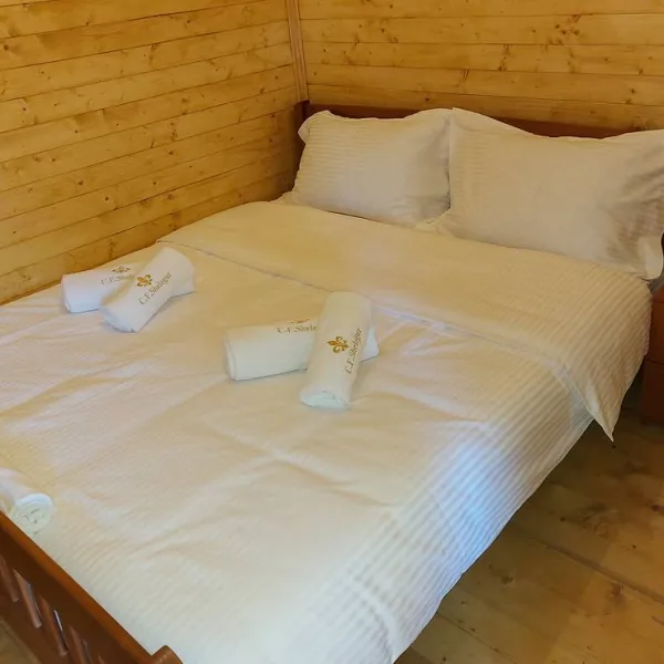camping-farm-shelegur-leskovik-sf29t