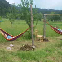 camping-farm-shelegur-leskovik-ztoyc