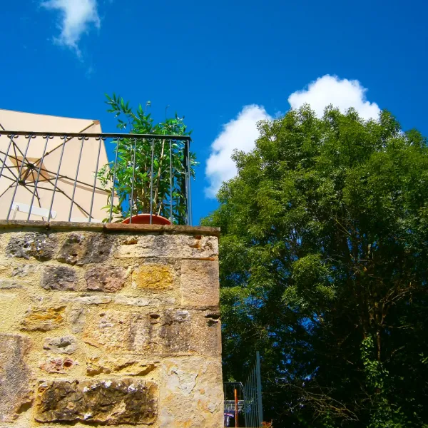 mas-du-midi-st-projet-wszpe