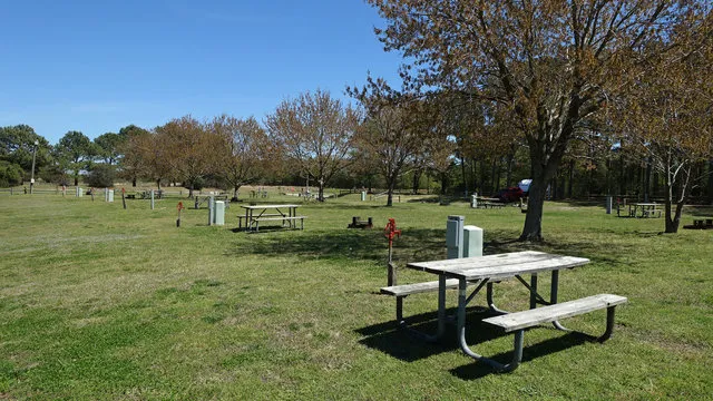 kiptopeke-state-park-campground-cape-charles-dlgnx