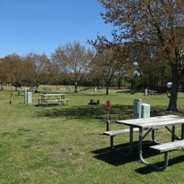 kiptopeke-state-park-campground-cape-charles-dlgnx