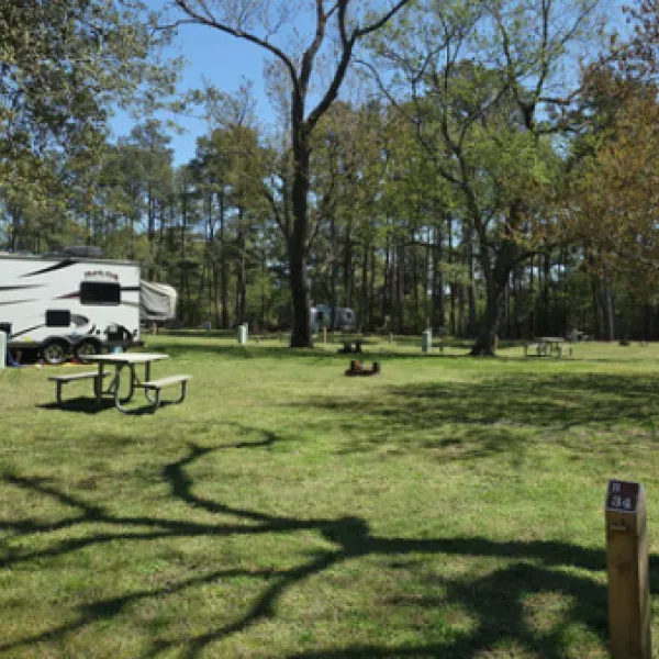 kiptopeke-state-park-campground-cape-charles-ylydt