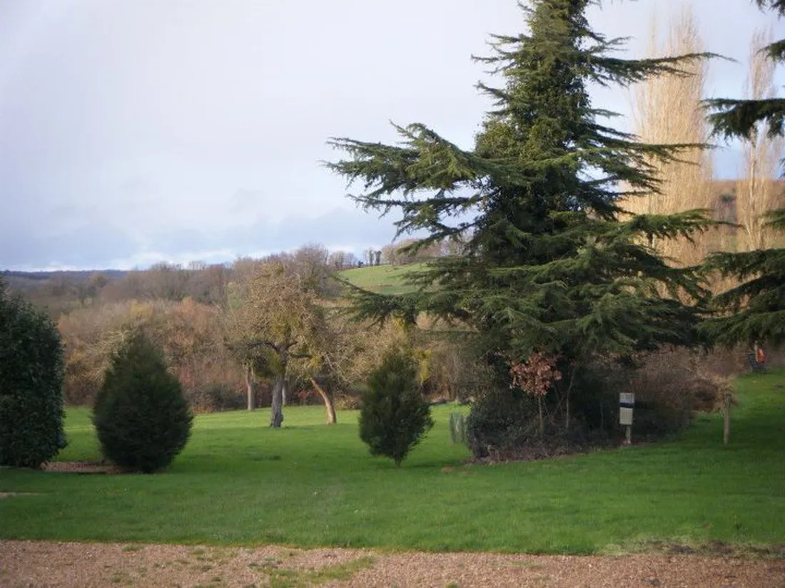 ferme-de-l-esperence-forest-view-dorceau-omkvd