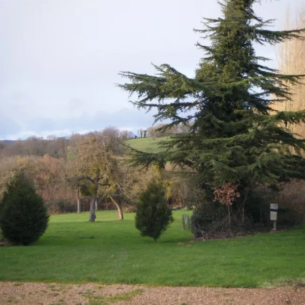 ferme-de-l-esperence-forest-view-dorceau-omkvd
