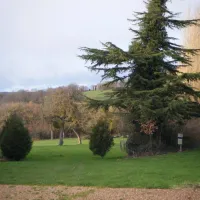 Ferme de l' Esperence (Forest View)
