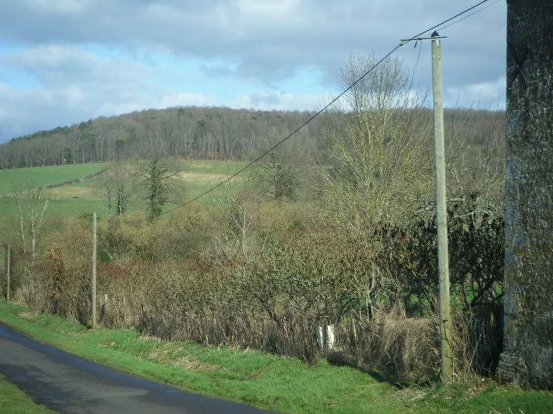 ferme-de-l-esperence-forest-view-dorceau-q2hpf