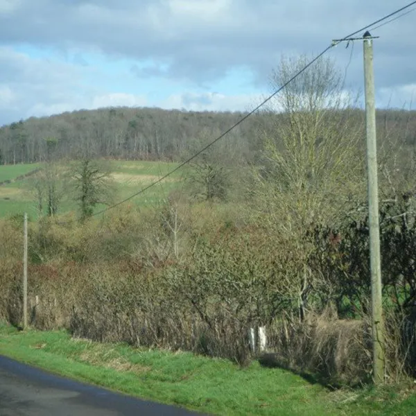 ferme-de-l-esperence-forest-view-dorceau-q2hpf