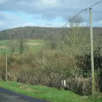 ferme-de-l-esperence-forest-view-dorceau-q2hpf