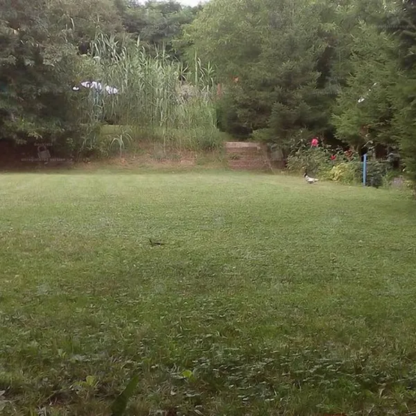 camping-robinson-country-oradea-jdec9