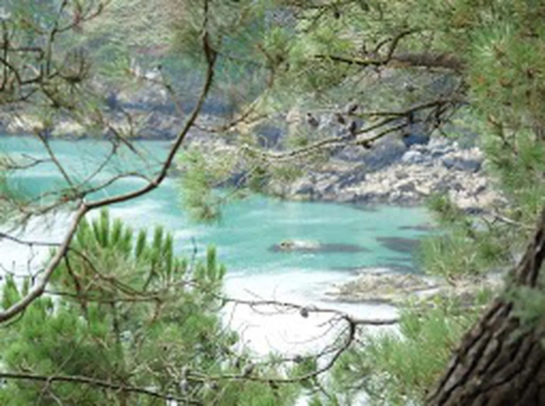 les-bruyeres-crozon-73snv