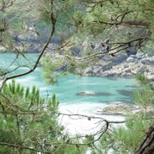 les-bruyeres-crozon-73snv