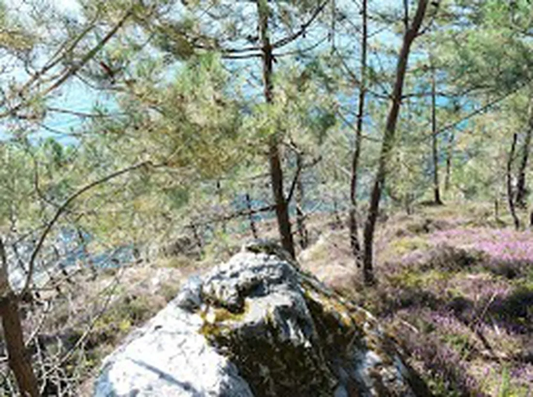 les-bruyeres-crozon-nuqgs
