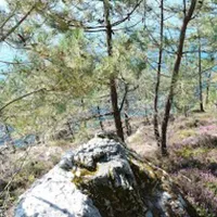 les-bruyeres-crozon-nuqgs